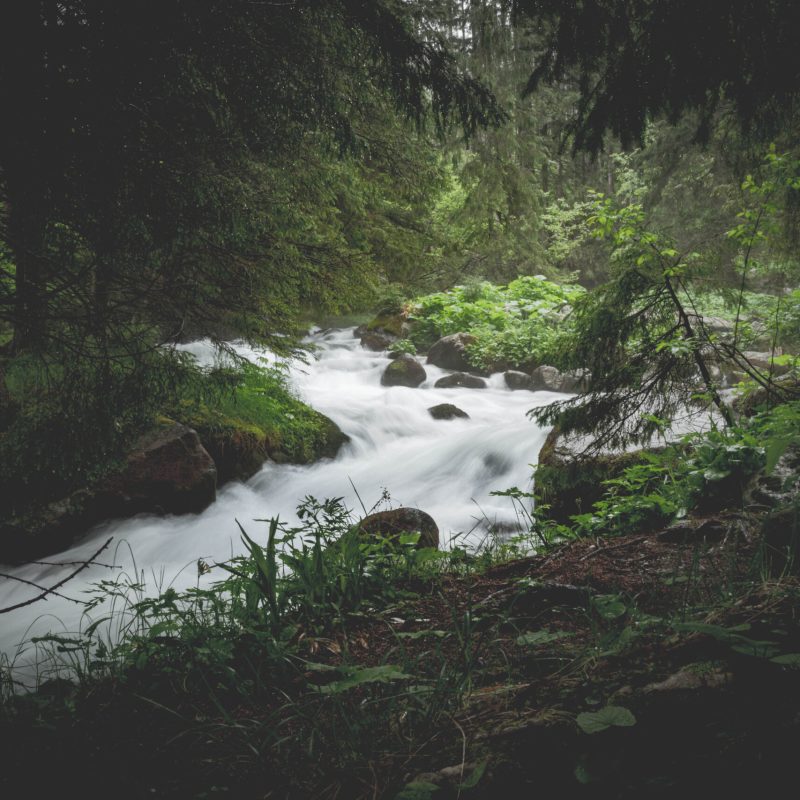 STREAM